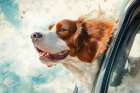 Happy dog riding with head out car window. (AI Generated) Art Print